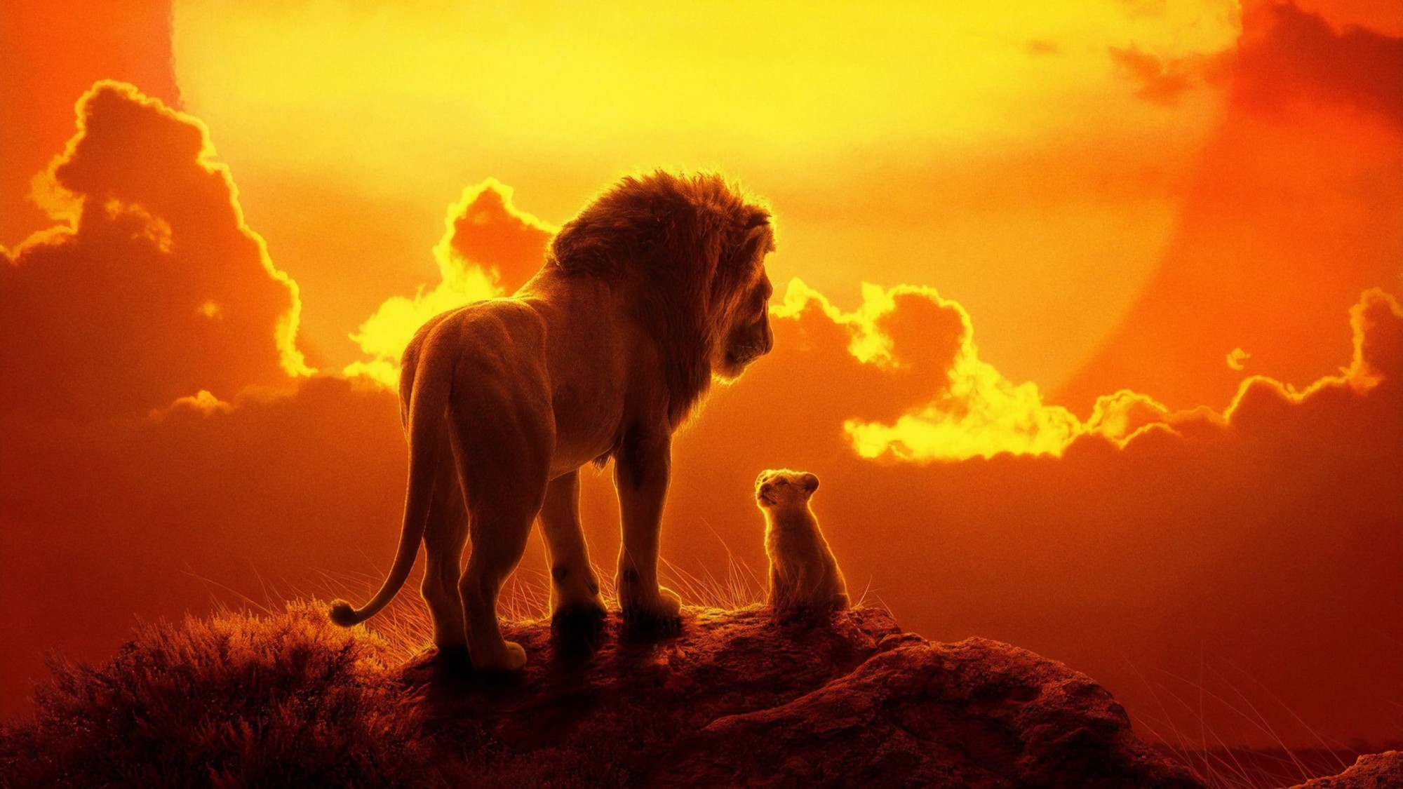 the-lion-king